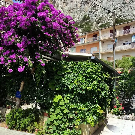 Mimi * Omiš